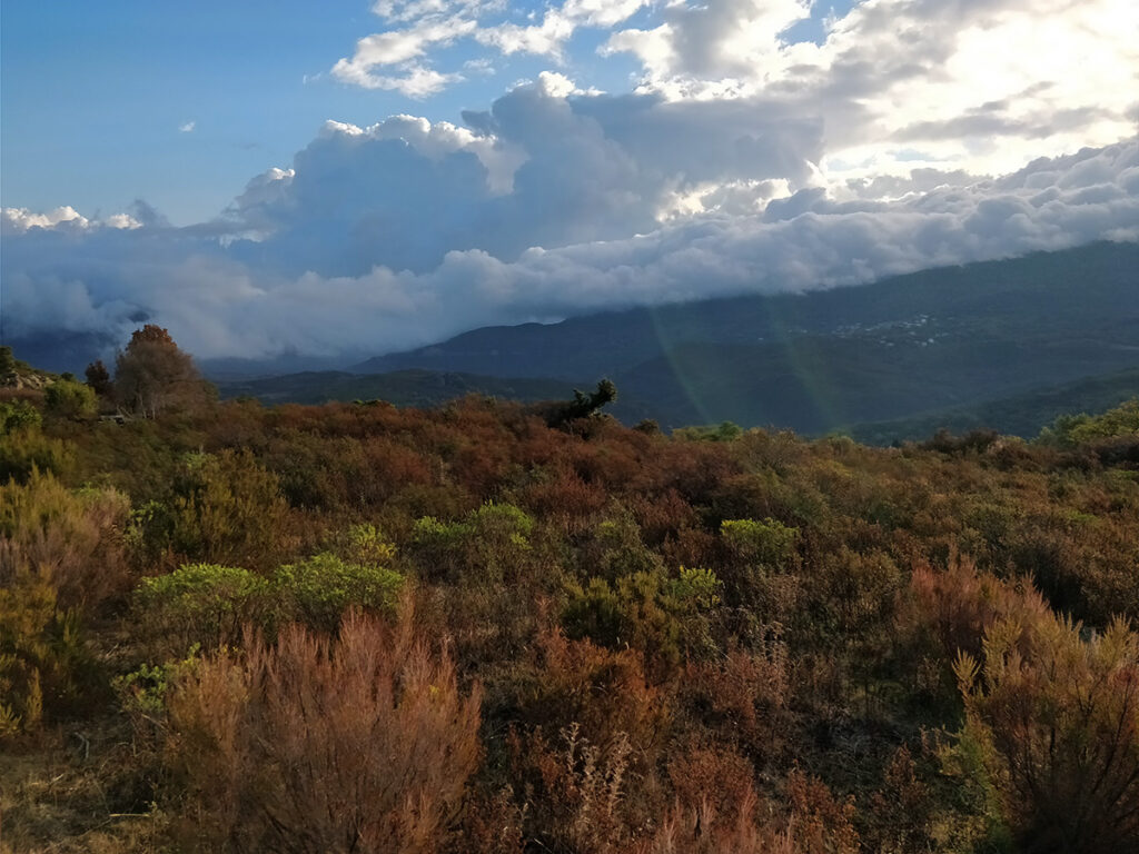 montagne corse